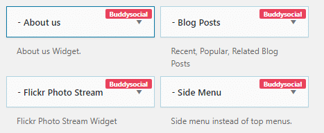 BuddySocial widgets