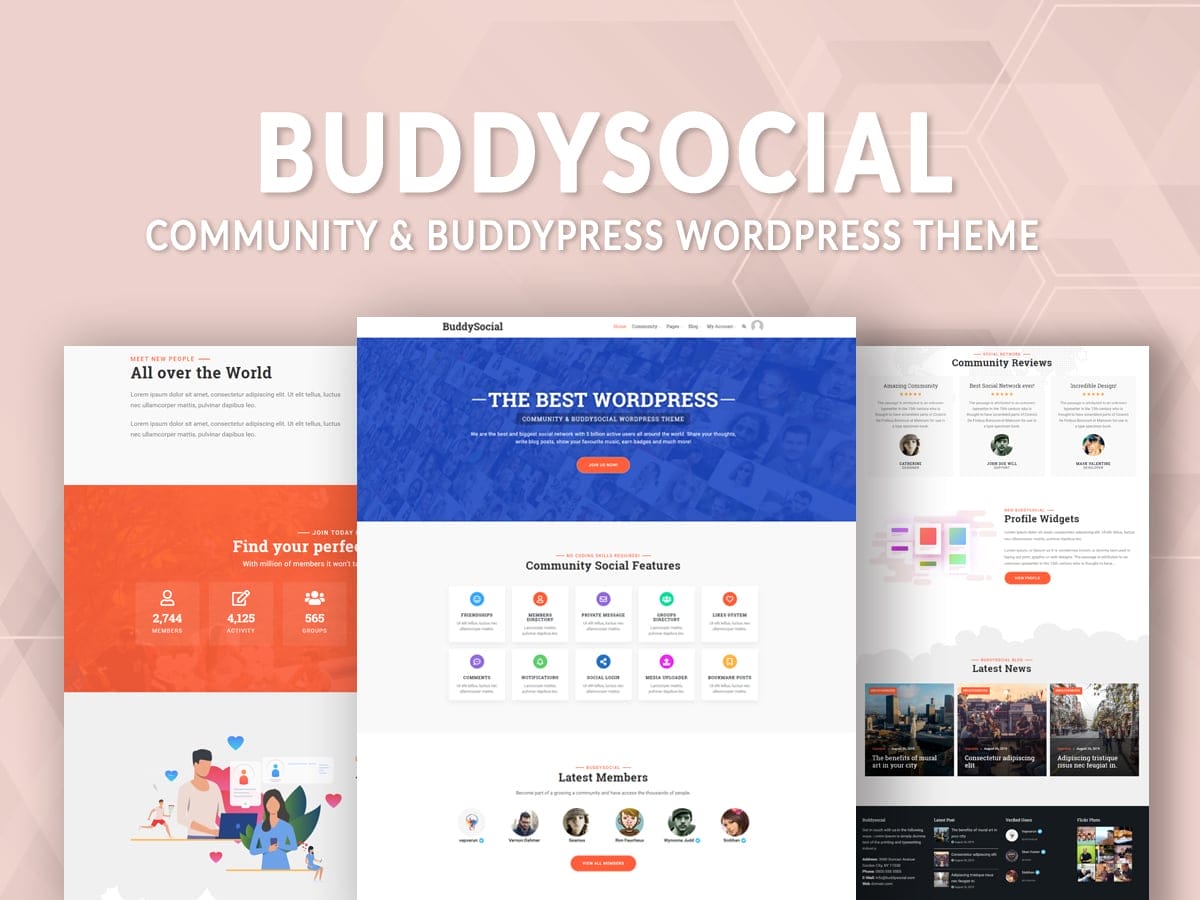 create social network wordpress