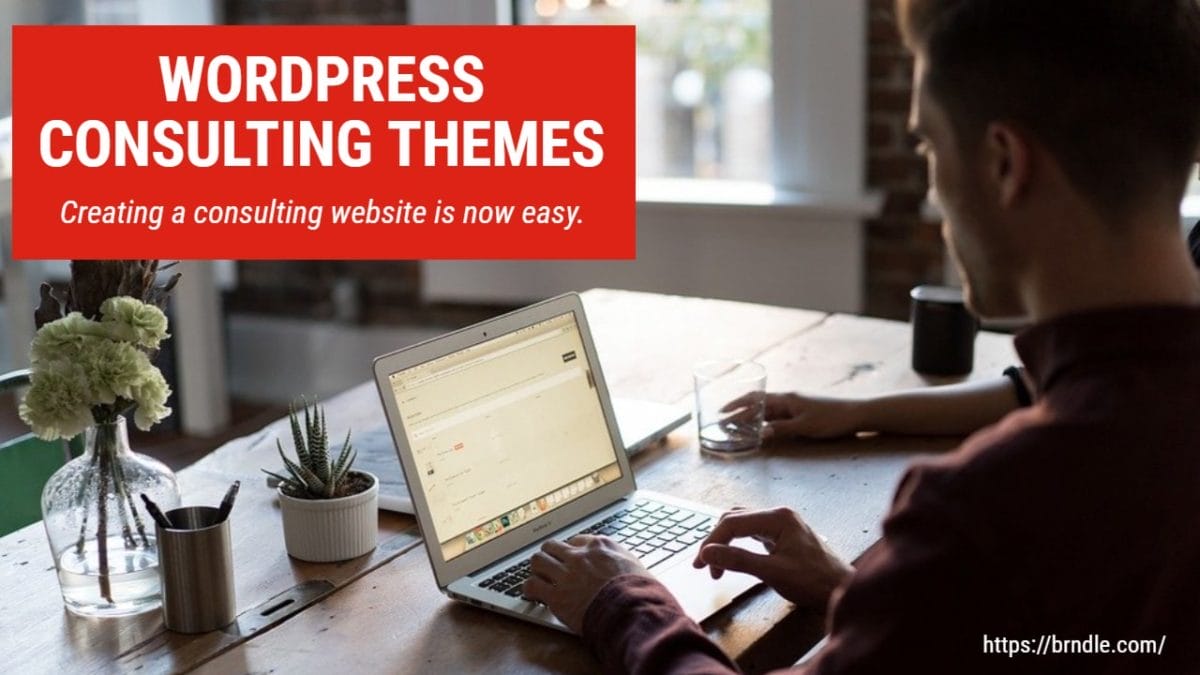 WordPress Consulting Themes