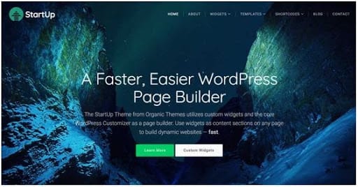 WordPress Themes For Business