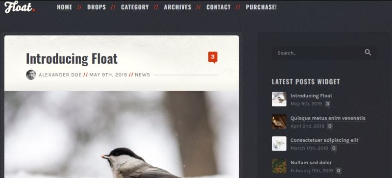 Float- Best WordPress Themes For Authors